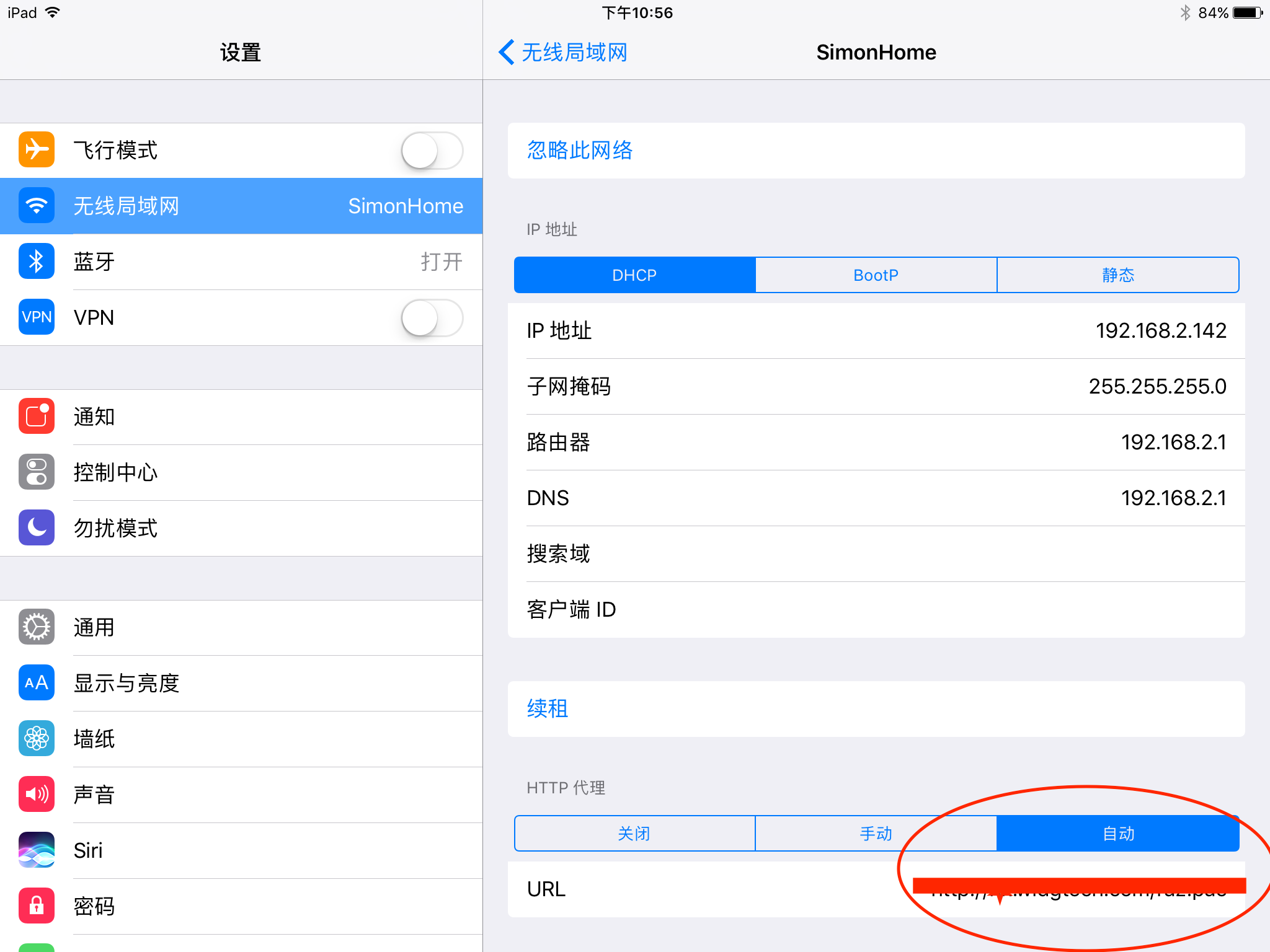 iOS 设备网络加速器配置示意